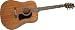 Washburn D100 Acoustic Guitar, Natural Mahogany