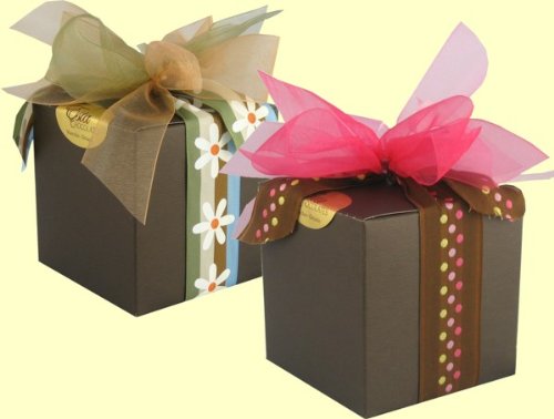 Esta Chocolates 20 AssortedTruffles in Brown Cube Box (7 oz. Box)