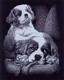 Eigenschaften Mammut A30SF1/G / Scraper Silber - Spaniels