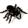 Uncle Milton Remote Controlled Tarantula