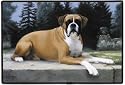 Boxers in Path Dog Indoor Outdoor Doormat Rug Mat