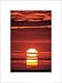 Maldives At Sunset by Paul Nicklen - Fine Art Print / Poster - 12.00 x 15.75 - Framed in a 0.40\