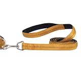 Pet Supplies : 6 FOOT - GOLD - Padded Nylon Dog Leads