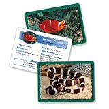 Learning Resources Animal Classifying Cards, Grasslands