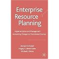 Enterprise Resource Planning (Implementation and Management Accounting Change in a Transitional Country) (Hardcover)