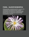 Fossil - Sauropodomorpha: Prosauropods, Sauropods, Aetonyx, Anchisauria, Coloradisaurus, Euskelosaurus, Fulengia, Gyposaurus, Lessemsaurus, ... Plateosaurus, Prosauropoda, Riojasaurida