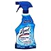 Lysol Power and Free Bathroom Cleaner, 22 Ounce