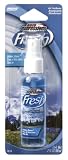 Freshen Up 2 Oz. Pump Spray Air Freshener - Outdoor Breeze