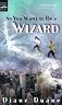 So You Want to Be a Wizard