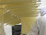 丹頂の舞 手延べ半生うどん【ざる・釜上げ・温たか】10袋セット　 ∫送料無料∫