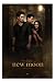 Twilight New Moon Poster - 91.5 x 61cms (36 x 24 Inches)
