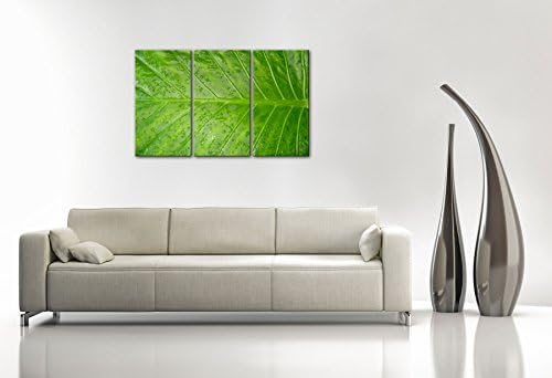 GREEN DOMINATION - Green Leaf Nature Macro Photography Gallery Wrapped Canvas Size: 52"W x 30"H