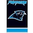 Carolina Panthers Banner Flag