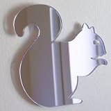 Squirrel Mirrors 2cm X 1.5cm (20 in Pack)