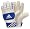 White/Cobalt