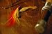 Fly Fishing - 18W x 12H - Peel and Stick Wall Decal by Wallmonkeys