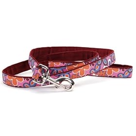 Funky Floral Canvas Dog Leash, 5/8