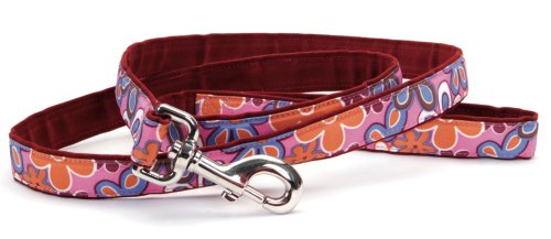 Funky Floral Canvas Dog Leash, 5/8-Inch Wide by 5-Feet Long