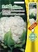 Blumenkohl Fremont F1 (Portion inkl. Stecketikett)