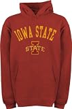 Iowa State Cyclones Youth Cardinal Tackle Twill Hooded Sweatshirt