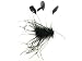 Haarschmuck Fascinator Haarkamm Federn (HACC361)