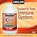 Kirkland Signature Vitamin C 1000mg, with Rose Hips 500 Tabs each (pack of 6)