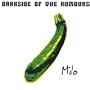 Darkside of the Rumours