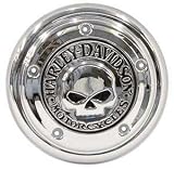 The Skull Collection - Air Cleaner Insert