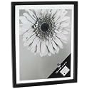 Umbra Document 13 by 16-Inch Frame, Black