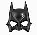 Batman The Dark Knight Rises adult Masquerade Mask