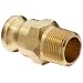 Dixon Valve Brass Boss-Lock Type F Cam and Groove Fitting, Plug x NPT Male