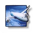 787 Big Picture Magnet