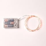 RTGS 20 Warm White Micro LED Battery Operated String Lights, 7.5 Feet Silver Wire