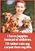 I Have Puppies not Children I'd Rather Ruin My Carpet Than My Life Funny Poster Print - 13x19