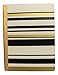 Carolina Pad Studio C College Ruled Foil Cover Composition Book ~ Gold Digger (Elegant Stripes; 7.5