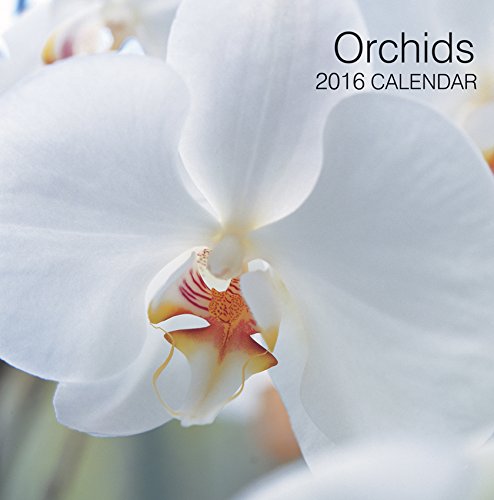 2016 Calendar: Orchids