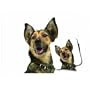 German Shepherd Dog Mouse Pad & Coasters Set