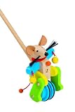 Review inspiredplay 1642 / Natural Wood Toddler Push Toy by Selecta - Spedino