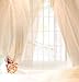 5ft X 7ft Vinyl Photo Backdrop Printed Photography Backgrounds Indoor Backdrop Cm-4032