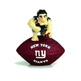 New York Giants Desk Paperweight
