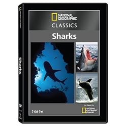 Nat'l Geo: Classics - Sharks