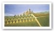 Tuscan Village with Olive Trees by Lowell Herrero 36"x18.5" Art Print Poster