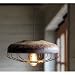 Vintage Chicken Feeder Pendant Light