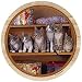 Kitchen & Housewares : Set of Four Bookshelf Kitties Coasters - Style TSRK3