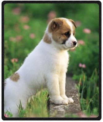 Wenglee Customized Despicable me Minions Polyester Fabric Window Curtain 50"x96" (one piece)