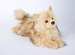 Fluffy Pomeranian Plush Toy 16"