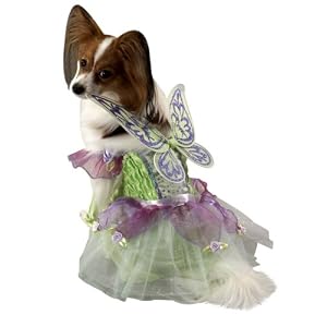 Tinker Bell Halloween Dog Costume