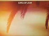 Come Around Sundown [VINYL]