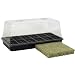 Rockwool Seed Starter Kit