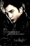 (24x36) Twilight Movie Edward, Dark Poster Print